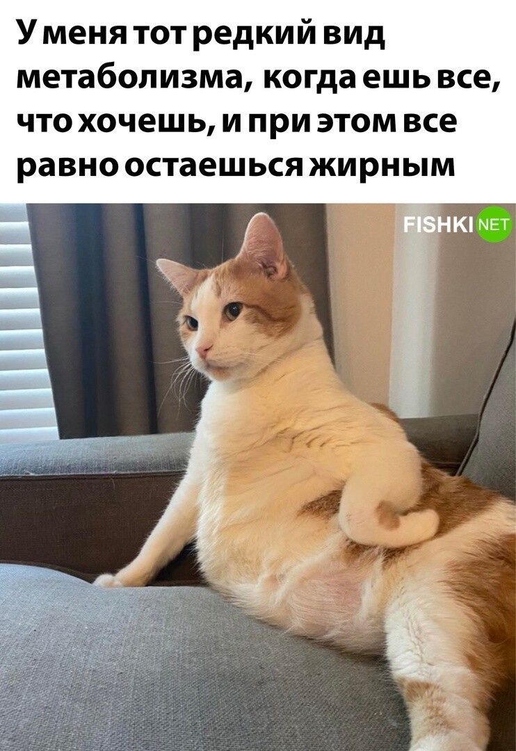 Комментарии и картинки из соцсетей. Свежак за 9 января