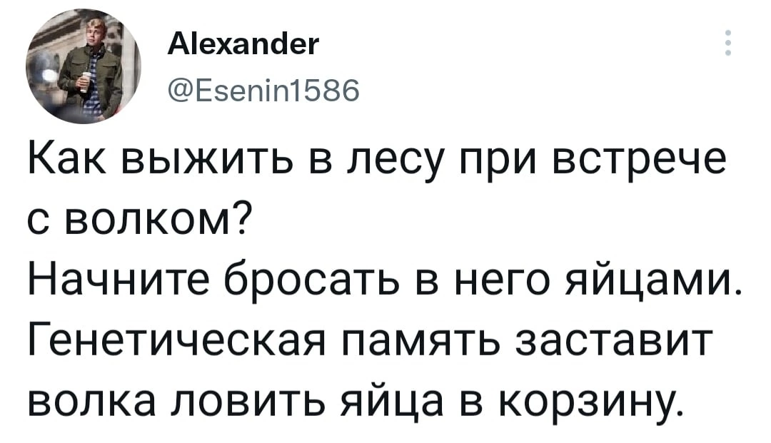 Юмор из социальных сетей
