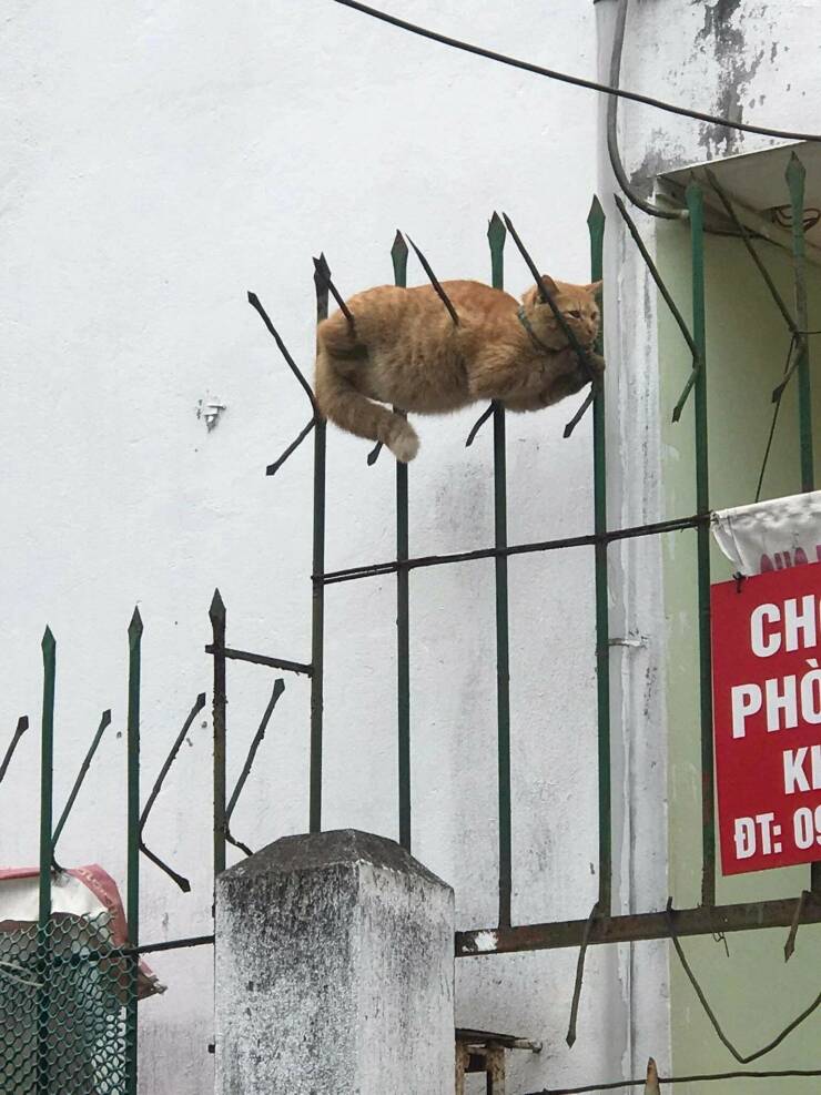 Подборка картинок. Вечерний выпуск - 11.01.2023 (30 фото)