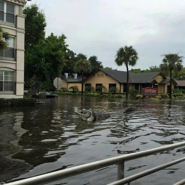 Подборка картинок. Вечерний выпуск - 12.01.2023 (30 фото)
