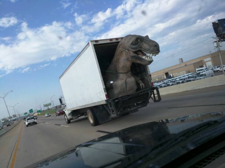 Подборка картинок. Вечерний выпуск - 12.01.2023 (30 фото)