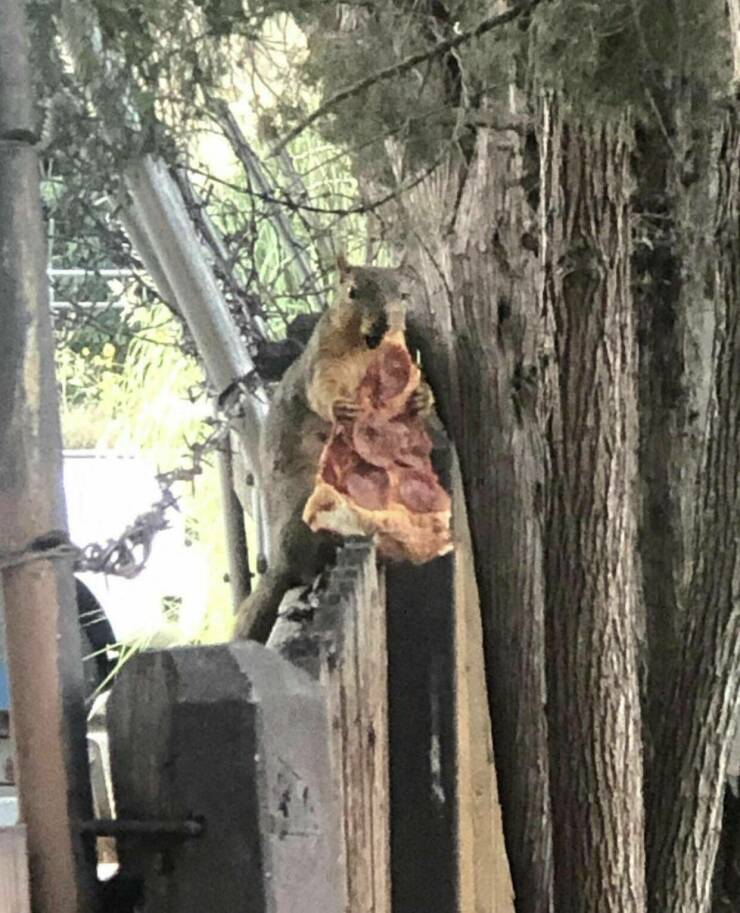 Подборка картинок. Вечерний выпуск - 12.01.2023 (30 фото)