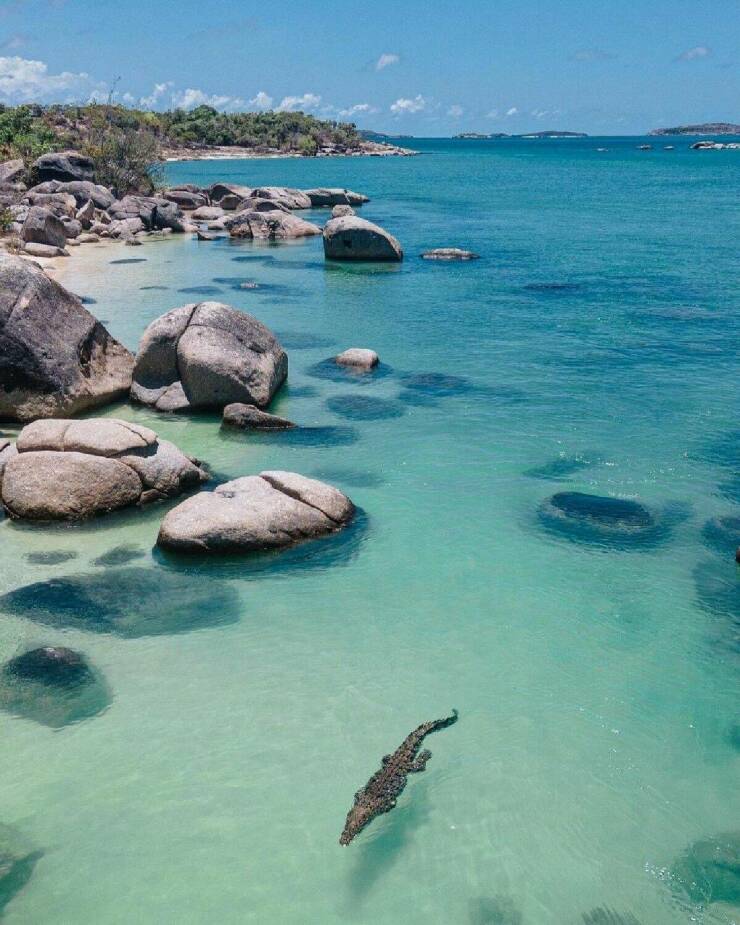 Подборка картинок. Вечерний выпуск - 12.01.2023 (30 фото)