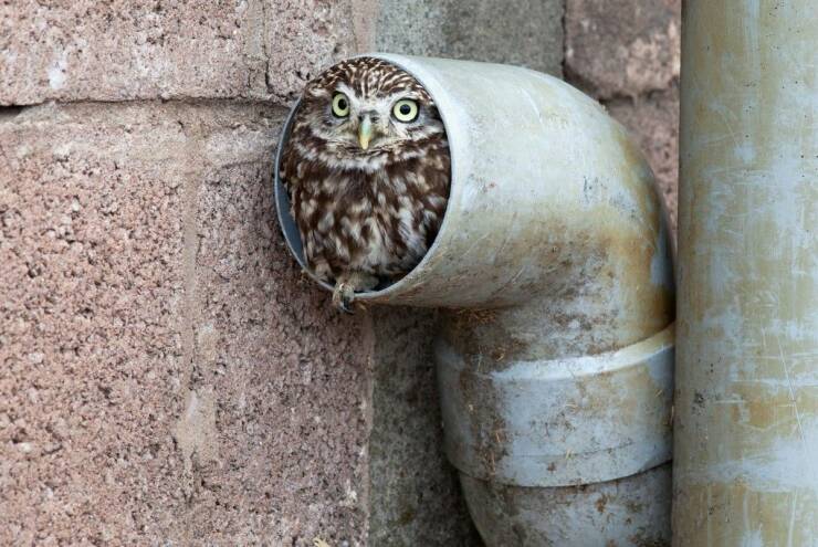 Подборка картинок. Вечерний выпуск - 12.01.2023 (30 фото)