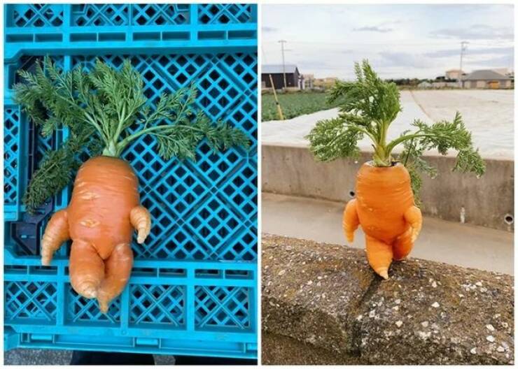 Подборка картинок. Вечерний выпуск - 12.01.2023 (30 фото)