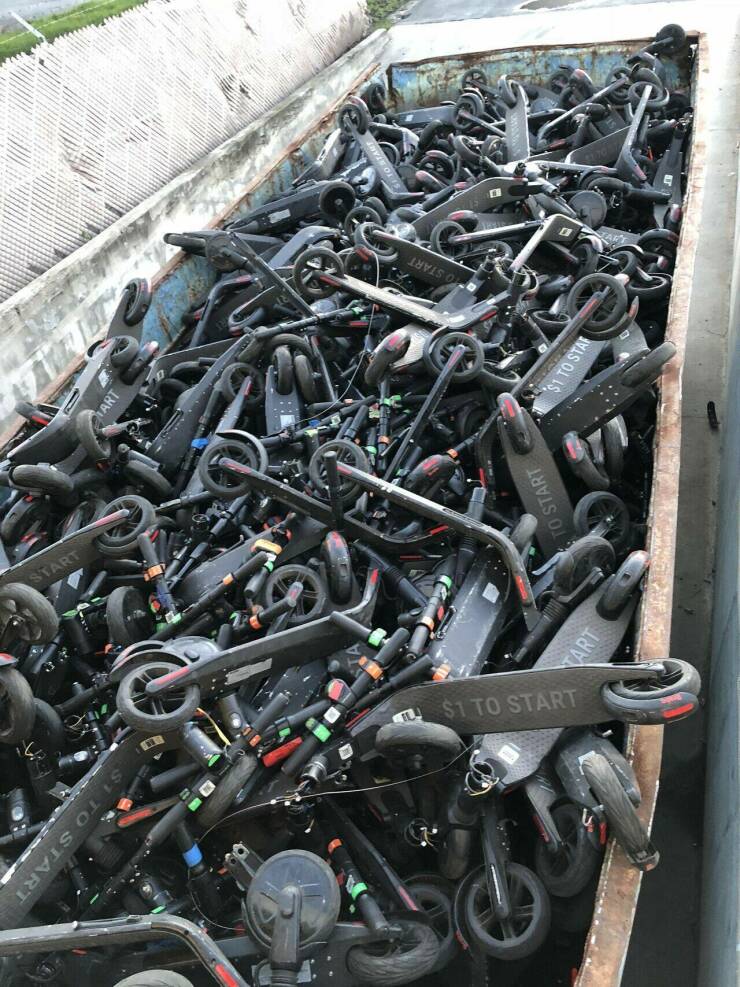 Подборка картинок. Вечерний выпуск - 13.01.2023 (30 фото)