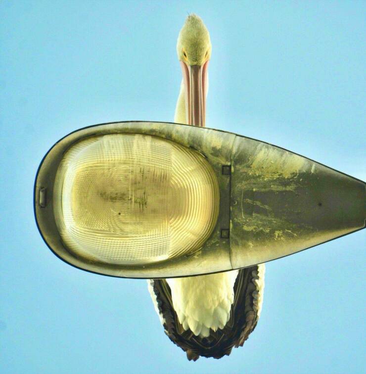 Подборка картинок. Вечерний выпуск - 13.01.2023 (30 фото)