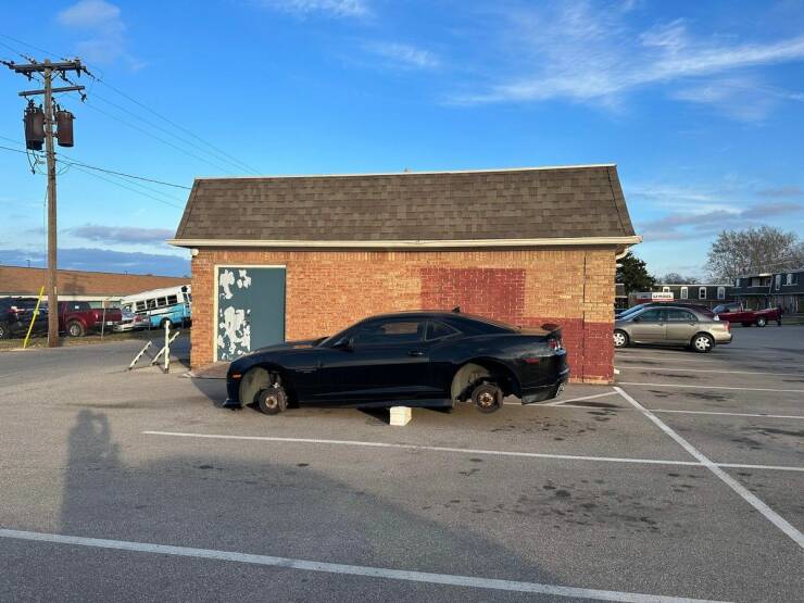 Подборка картинок. Вечерний выпуск - 13.01.2023 (30 фото)