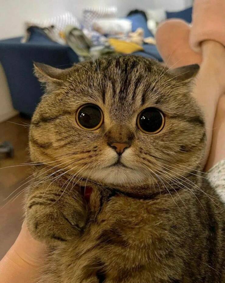 Подборка картинок. Вечерний выпуск - 13.01.2023 (30 фото)