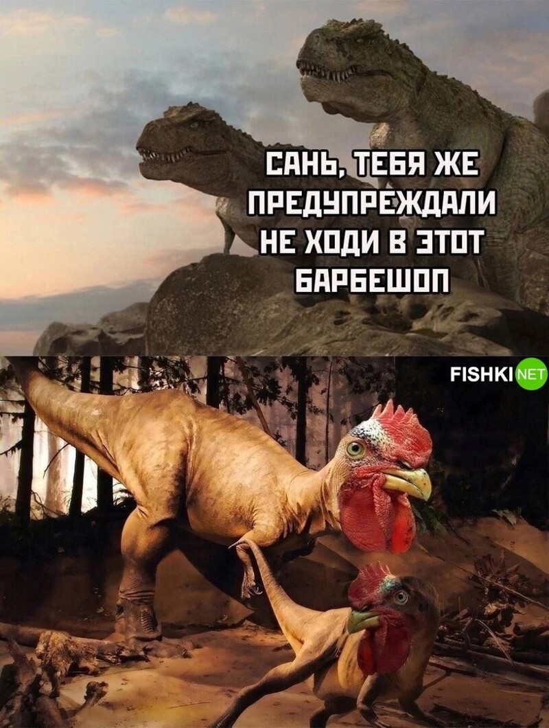 Комментарии и картинки из соцсетей. Свежак за 13 января