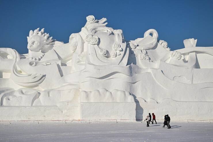 Подборка картинок. Вечерний выпуск - 17.01.2023 (30 фото)