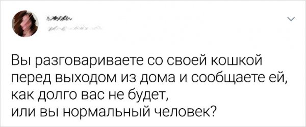 Подборка забавных твитов о домашних животных