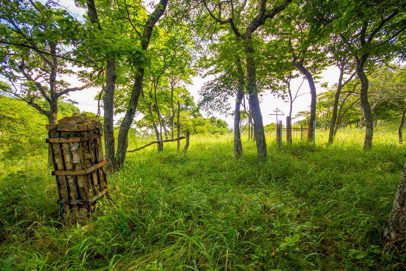 Заброшенный остров Аскольд: забытая техника, казарменный городок артиллеристов и золотое прошлое Заброшенный остров Аскольд: забытая техника, казарменный городок артиллеристов и золотое прошлое