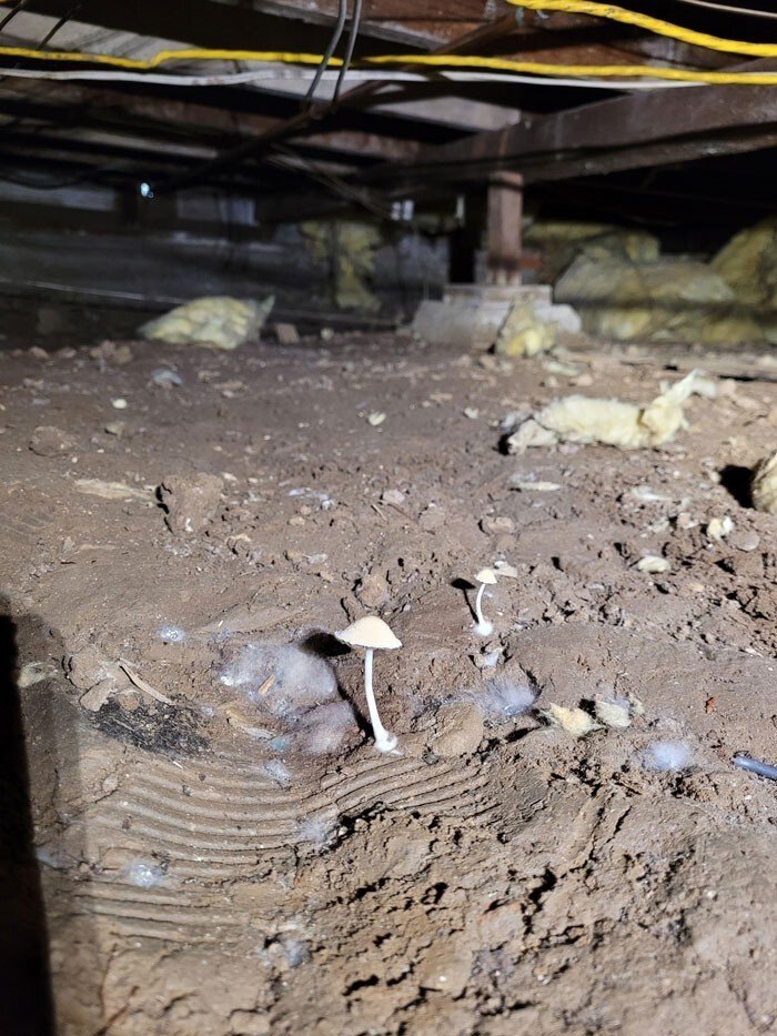 25 кошмаров и чудес, замеченных во время инспекции зданий