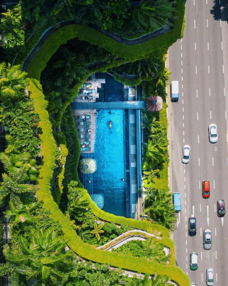 Подборка картинок. Вечерний выпуск - 25.01.2023 (30 фото)