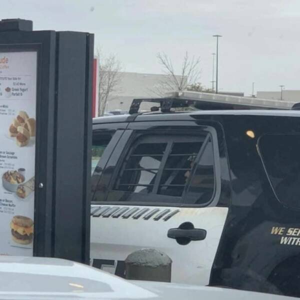 Подборка картинок. Вечерний выпуск - 25.01.2023 (30 фото)