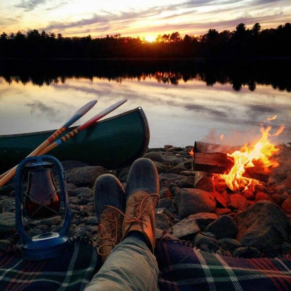 Подборка картинок. Вечерний выпуск - 26.01.2023 (30 фото)