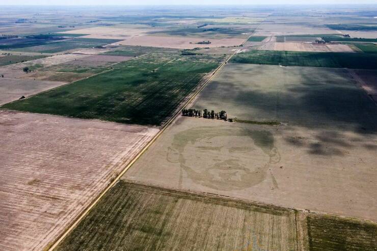 Подборка картинок. Вечерний выпуск - 26.01.2023 (30 фото)
