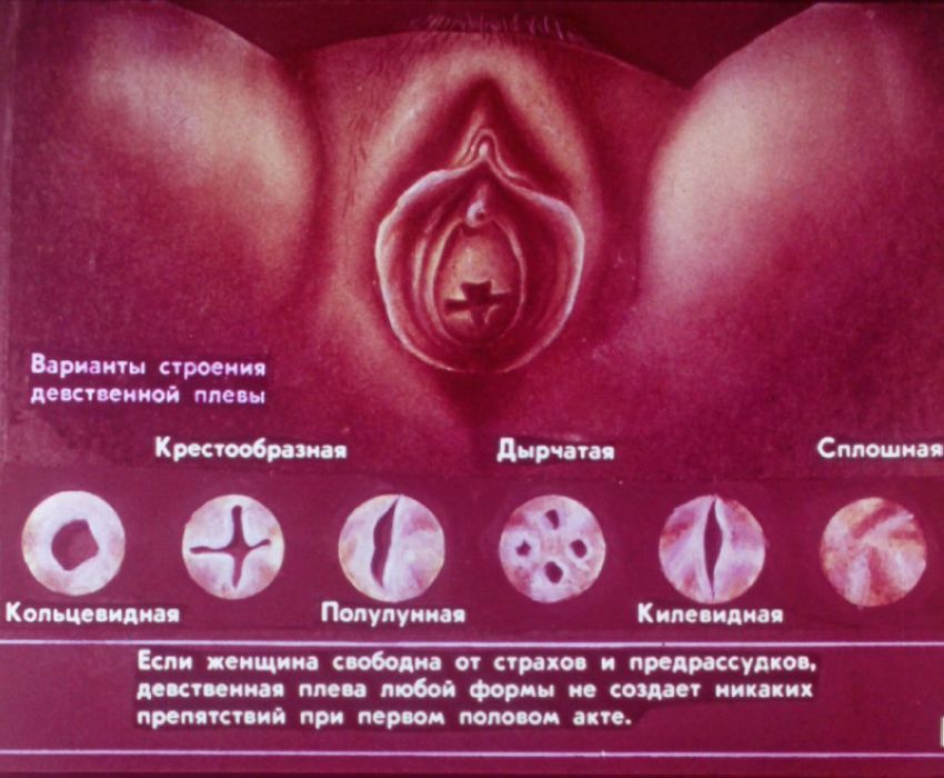 Азбука для двоих. Диафильм для старшеклассников 1989г.