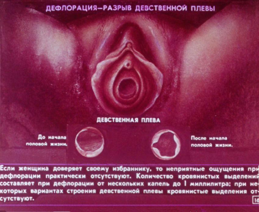 Азбука для двоих. Диафильм для старшеклассников 1989г.