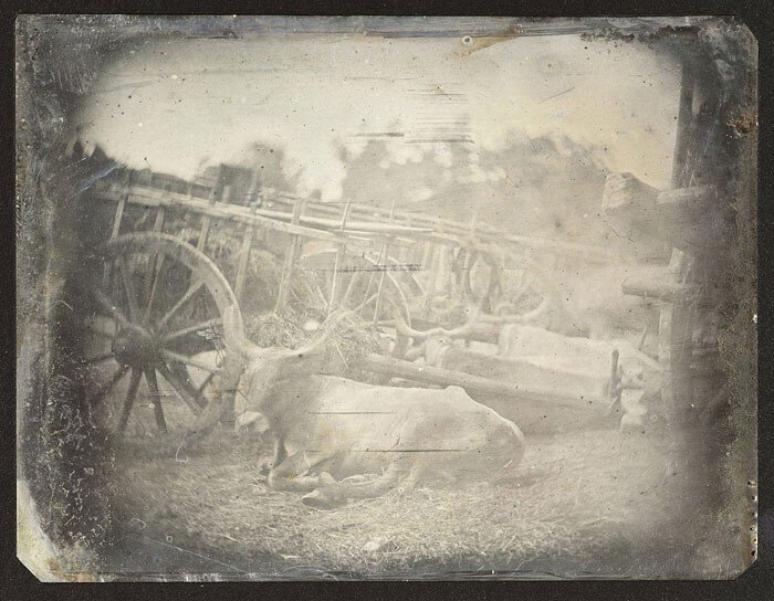 Самые важные снимки в истории фотографии