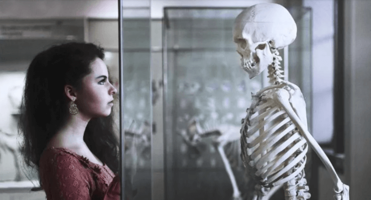 Несколько интересных фактов о костях человека. Кости человека на самом деле коричневые, а белыми они становятся только после определенной обработки. Несколько интересных фактов о костях человека. Кости человека на самом деле коричневые, а белыми они становятся только после определенной обработки. Фото.