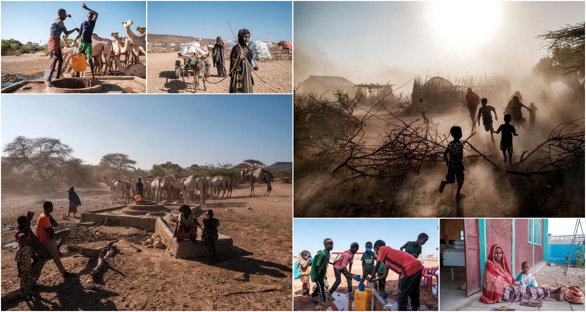 Сильнейшая засуха за четыре десятилетия в Эфиопии, Сомали и Кении