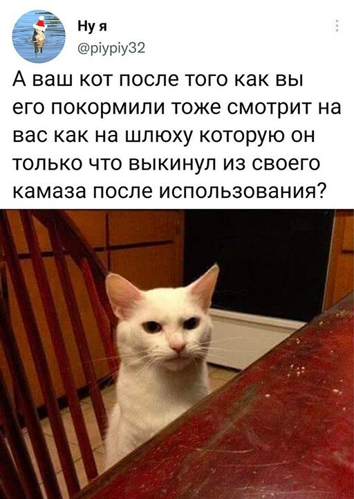 Фотоприколы и прикольные картинки