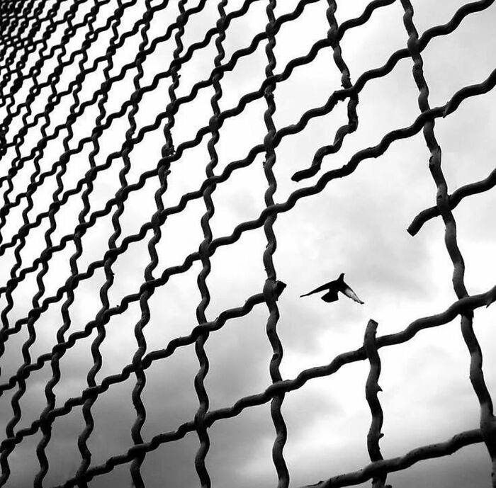 image-20230131163728-8