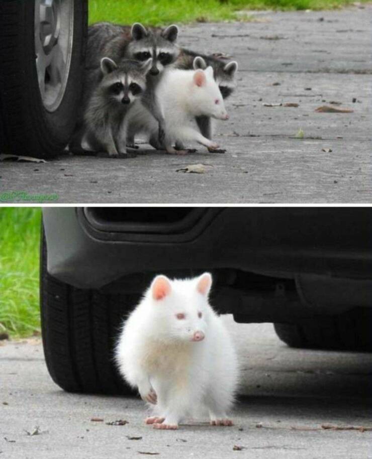 Подборка картинок. Вечерний выпуск - 07.02.2023 (30 фото)