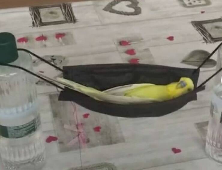 Подборка картинок. Вечерний выпуск - 07.02.2023 (30 фото)