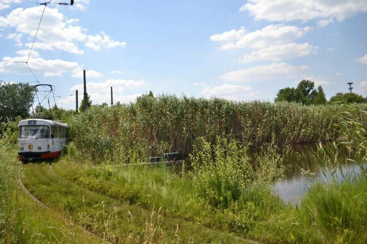 Подборка картинок. Вечерний выпуск - 08.02.2023 (30 фото)