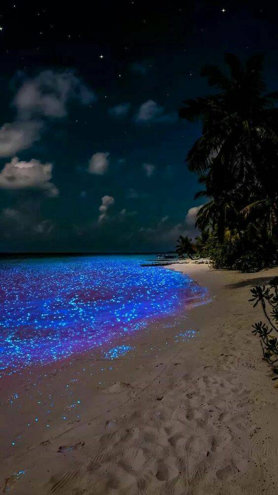 Подборка картинок. Вечерний выпуск - 08.02.2023 (30 фото)