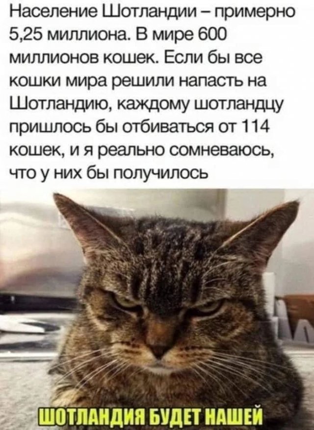 Лучшие шутки и мемы из Сети - 09.02.2023