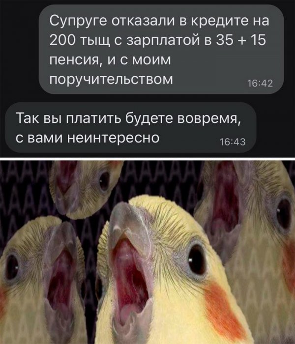 Скрины из соцсетей