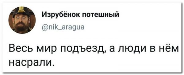 Скрины из соцсетей