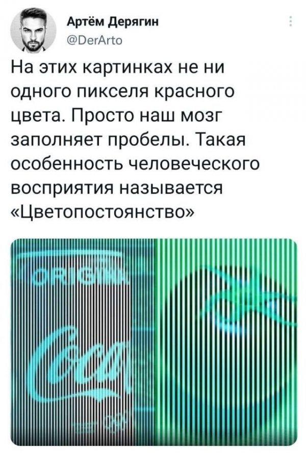 Скрины из соцсетей