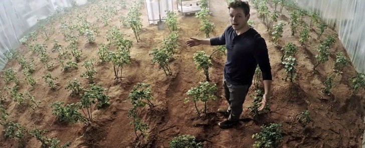 10 важных фактов про картофель