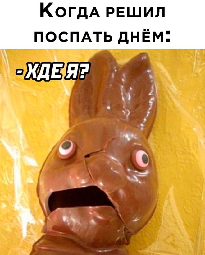 Подборка картинок. Вечерний выпуск - 16.02.2023 (30 фото)