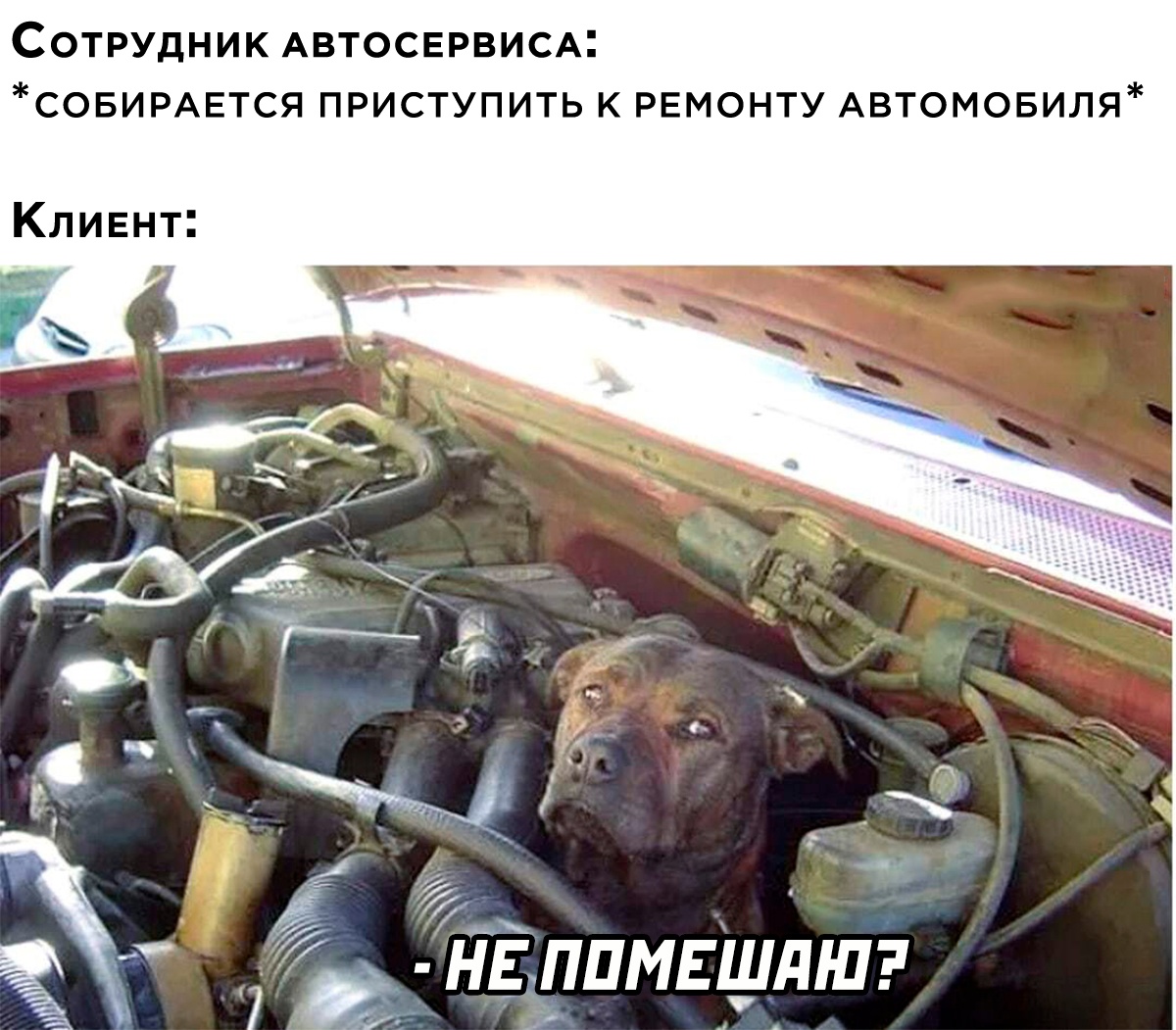 Подборка картинок. Вечерний выпуск - 16.02.2023 (30 фото)