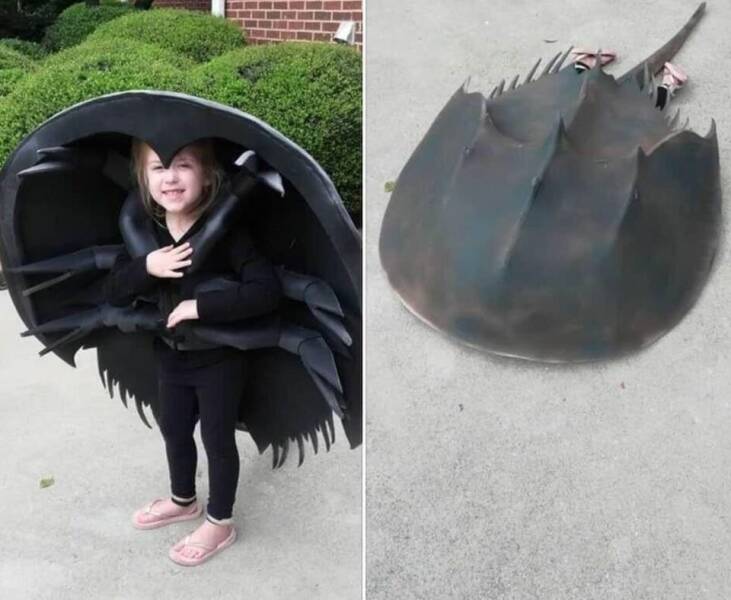 Подборка картинок. Вечерний выпуск - 16.02.2023 (30 фото)