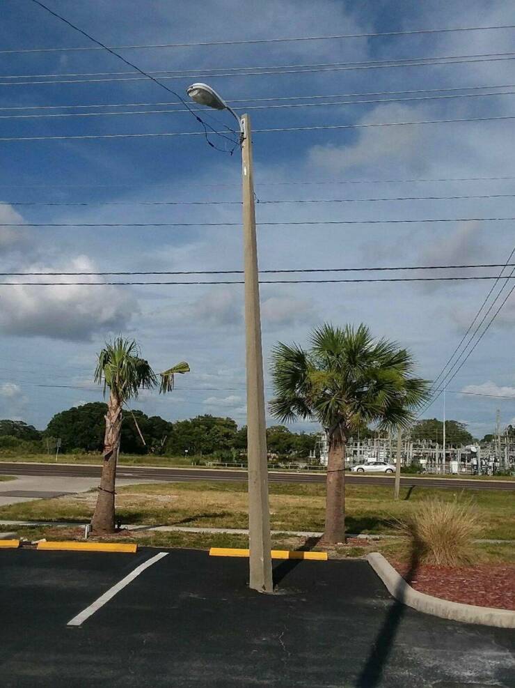 Подборка картинок. Вечерний выпуск - 16.02.2023 (30 фото)