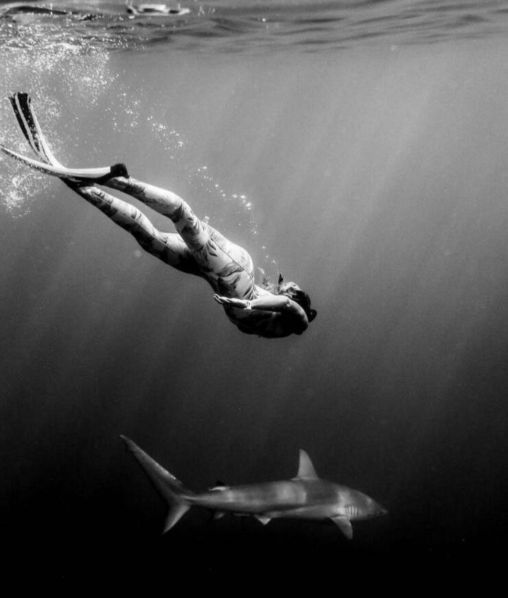 Подборка картинок. Вечерний выпуск - 16.02.2023 (30 фото)