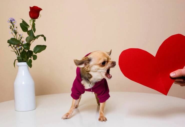 Подборка картинок. Вечерний выпуск - 16.02.2023 (30 фото)