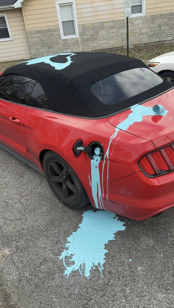 Подборка картинок. Вечерний выпуск - 16.02.2023 (30 фото)