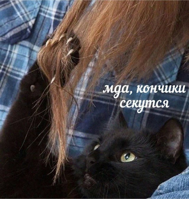 Лучшие шутки и мемы из Сети - 13.02.2023