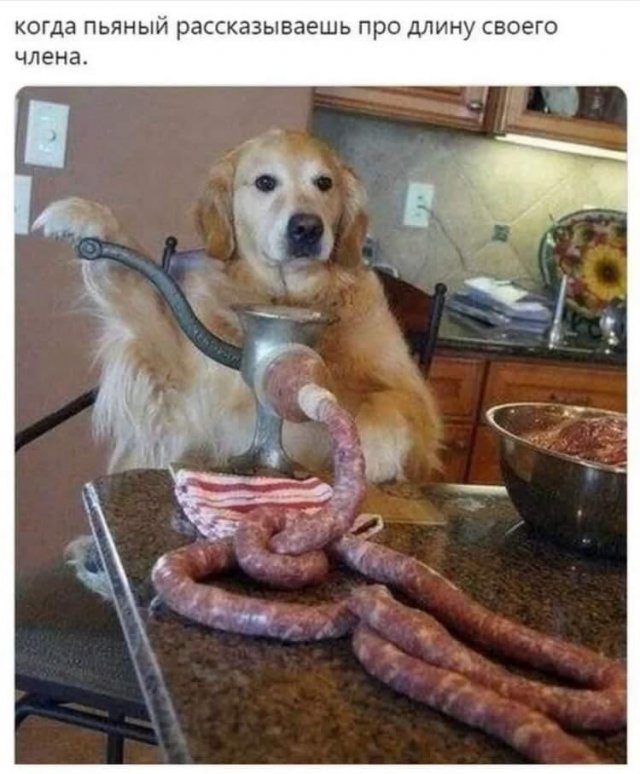 Лучшие шутки и мемы из Сети - 13.02.2023