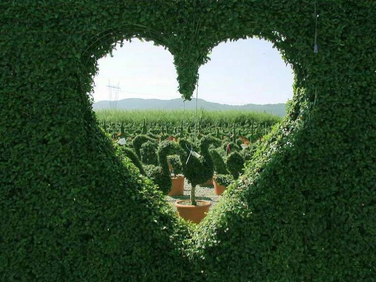 Подборка картинок. Вечерний выпуск - 01.03.2023 (30 фото)