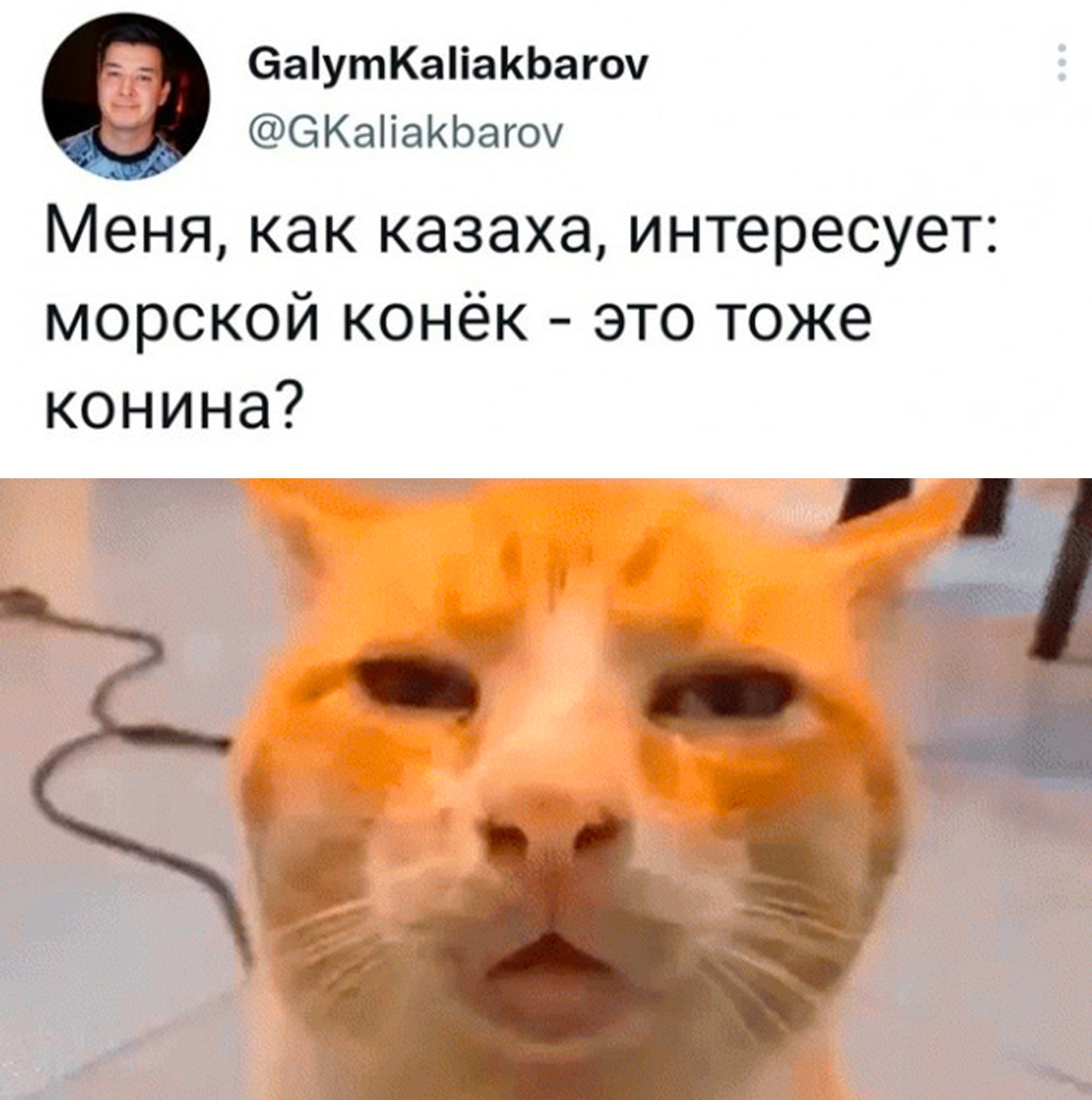 Подборка картинок. Вечерний выпуск - 01.03.2023 (30 фото)