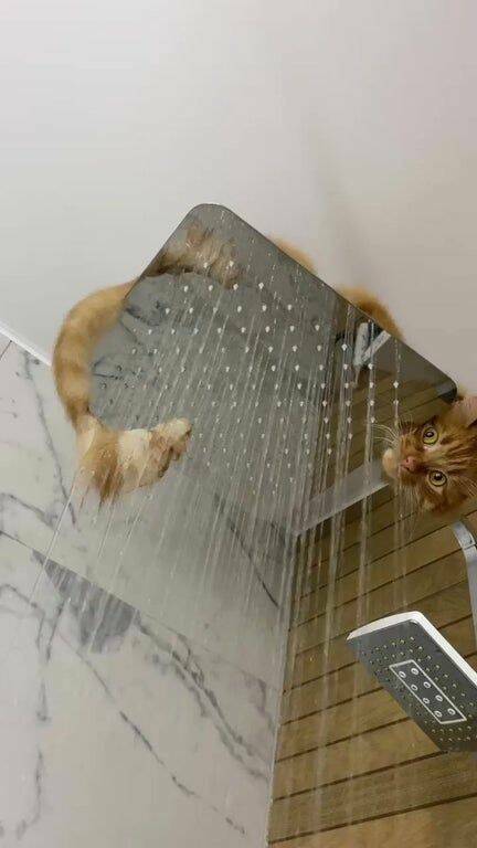 Подборка картинок. Вечерний выпуск - 01.03.2023 (30 фото)